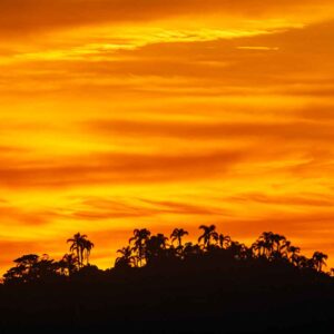 Nascer do sol com detalhes da ilha do Campeche feita em novembro de 2018