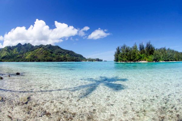 Foto da paisagem com a sombra de um coqueiro na água em Moorea Tahiti